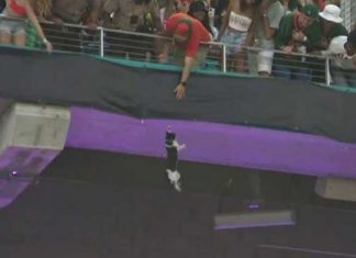 Football Fans Save Cat