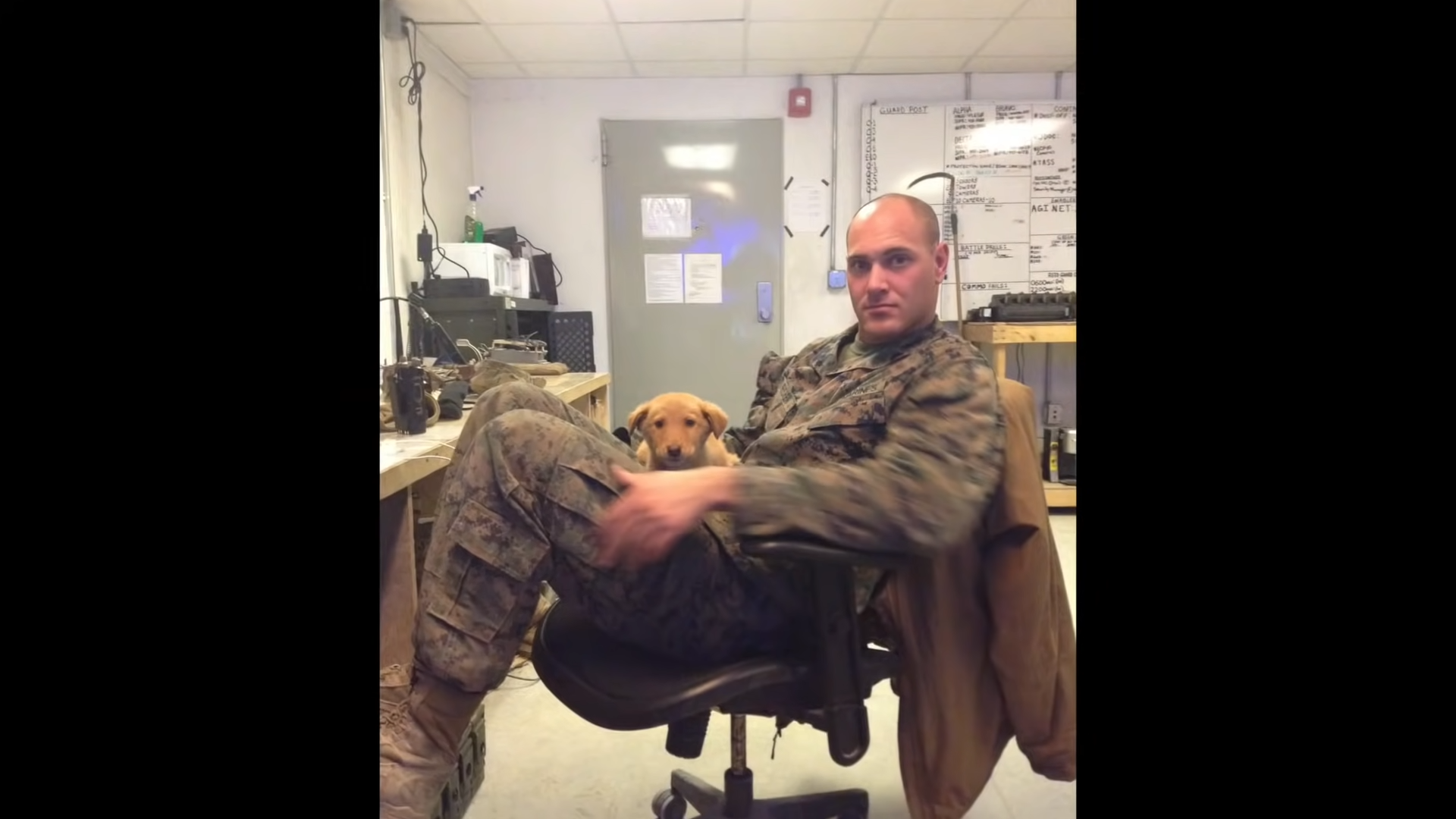 marine-soldier-brother-dog