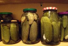 Pickle juice benefits