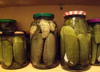 Pickle juice benefits