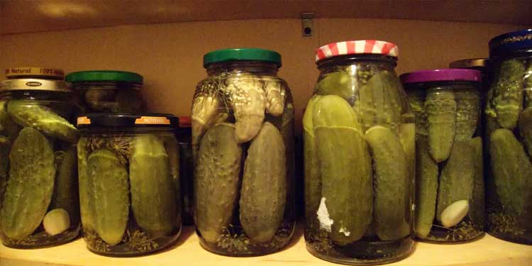 Pickle juice benefits