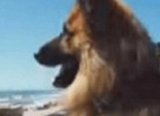 gsd-alone-beach