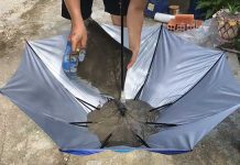 old-umbrella-Pour-Cement