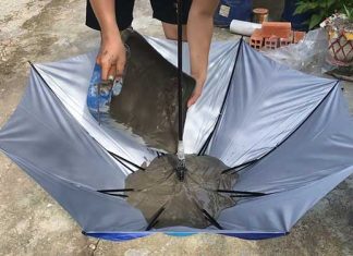 old-umbrella-Pour-Cement