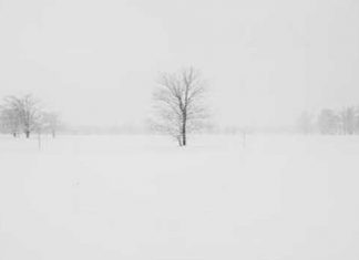 snowy-day