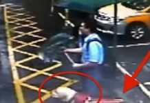 Woman calls guide dog stinky