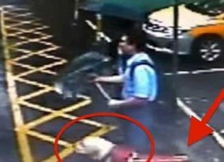 Woman calls guide dog stinky