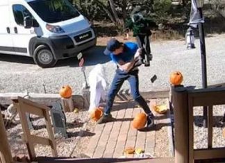 delivery-driver-destroys-halloween