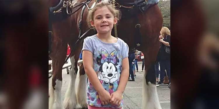 little-girl-and-Clydesdale