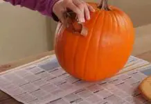 pumpkin-hack