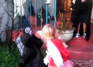 siblings-reaction-on-halloween