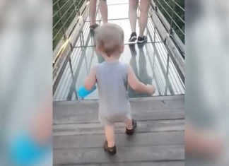 Toddler Attempts To Cross Glass Bridge But Makes Up His Own Mind