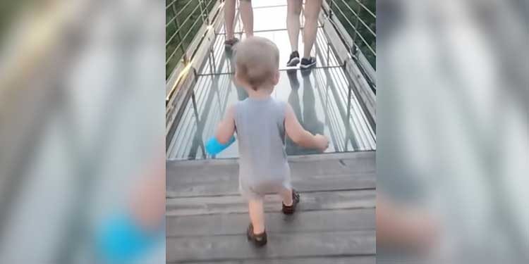 Toddler Attempts To Cross Glass Bridge But Makes Up His Own Mind