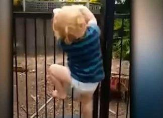 2-Year-Old Scales Locked Swimming Pool