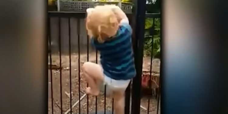 2-Year-Old Scales Locked Swimming Pool