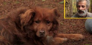 Dog Rescuer Gets Huge Surprise