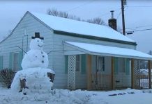 Driver tries to run over Kentucky snowman