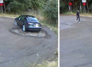 camera-captures-woman-abandoning-dog