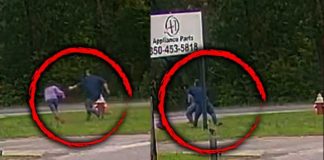 fearful video of an 11-year-old girl fighting