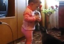 toddler-reaction-on-kitten-rescue