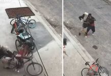 Thief tries to steal phone martial arts