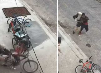 Thief tries to steal phone martial arts