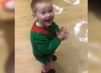 archie-santa-surprise