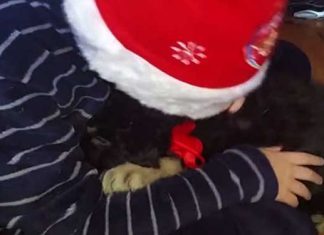 billy-cries-max-gift