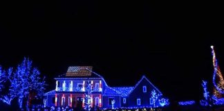 christmas-lights-tribute