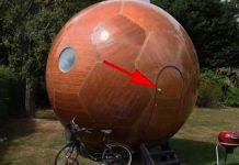 giant-ball-doorx