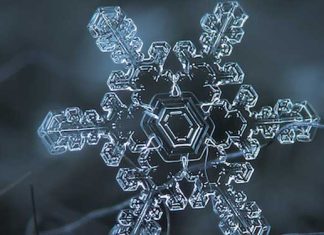 snowflakes