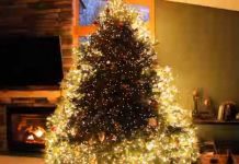 xmas-tree-lights