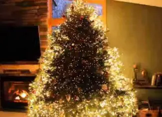 xmas-tree-lights
