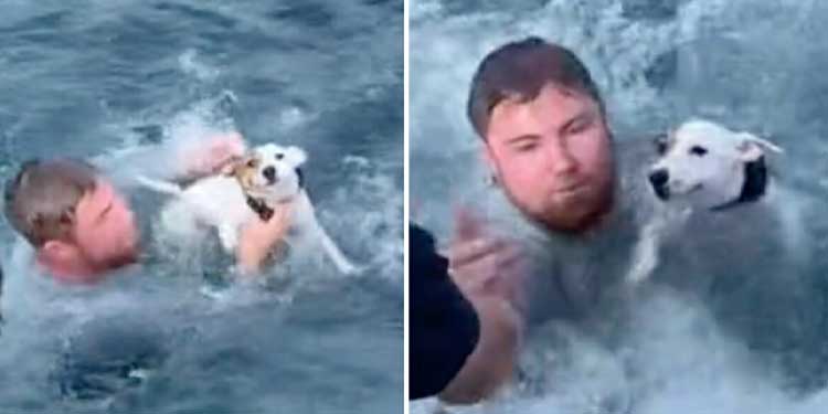 boaters-save-lost-dog-struggling-in-the-ocean