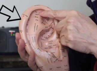 ear-reflexology