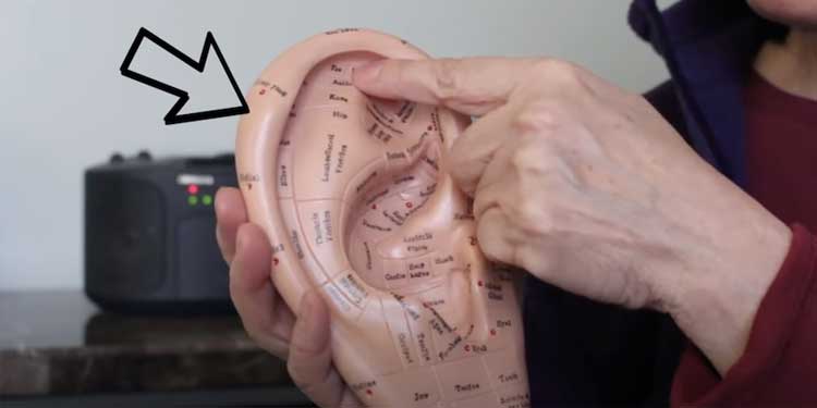 ear-reflexology