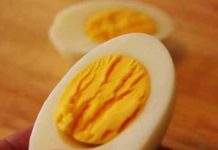 egg-perfect-boil