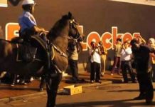 police-horse-dance-moves