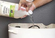 vinegar toilet