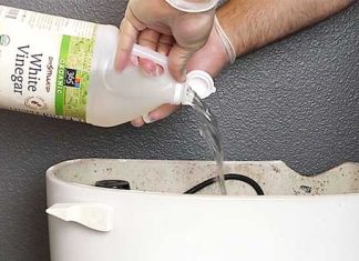 vinegar toilet