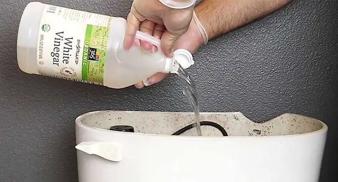 vinegar toilet