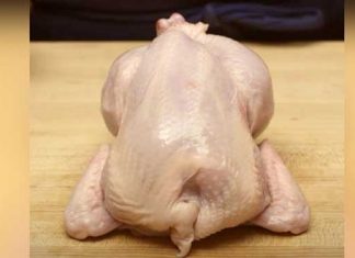 trussing-cornish-hen-without-twine