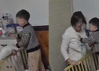 Mother collapses from fatigue china