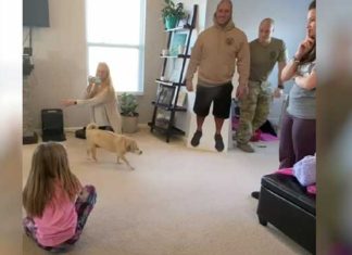 military-dad-surprises-his-family