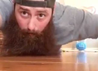 puppy-in-beard