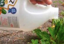 vinegar-garden