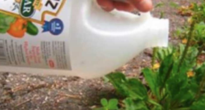 vinegar-garden
