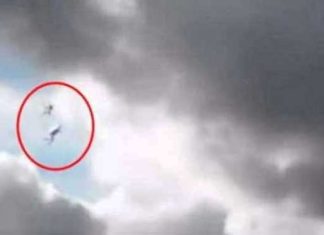 angels-sighting