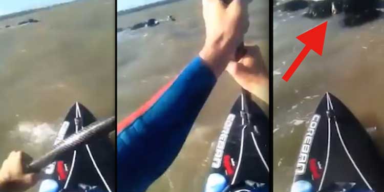 dog-rescued-by-paddleboarder