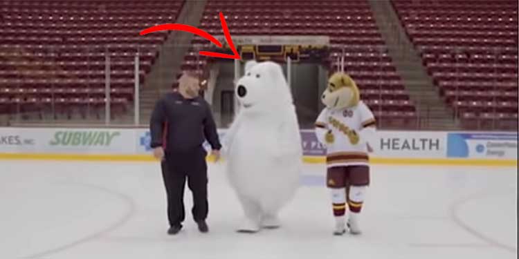 white-bear-mascot-on-ice